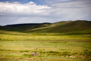 Mongolie - HM7Y5541