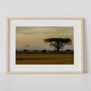 Afrique